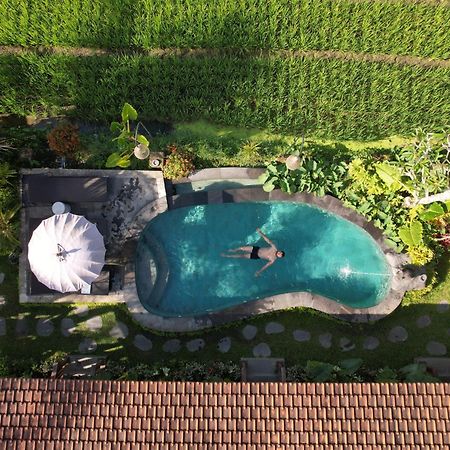 Umakelod Sebatu Villas Ubud  Ngoại thất bức ảnh