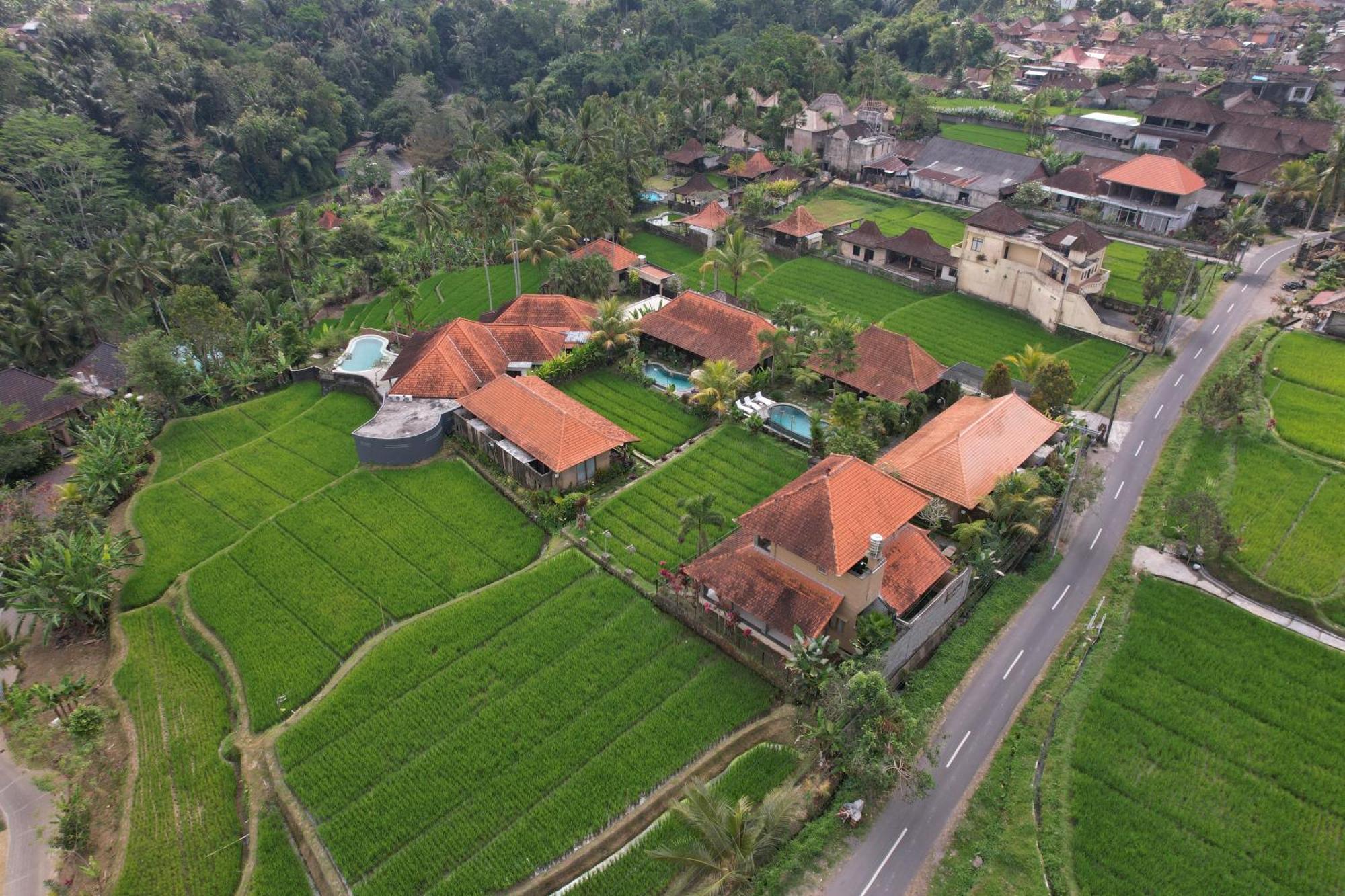 Umakelod Sebatu Villas Ubud  Ngoại thất bức ảnh
