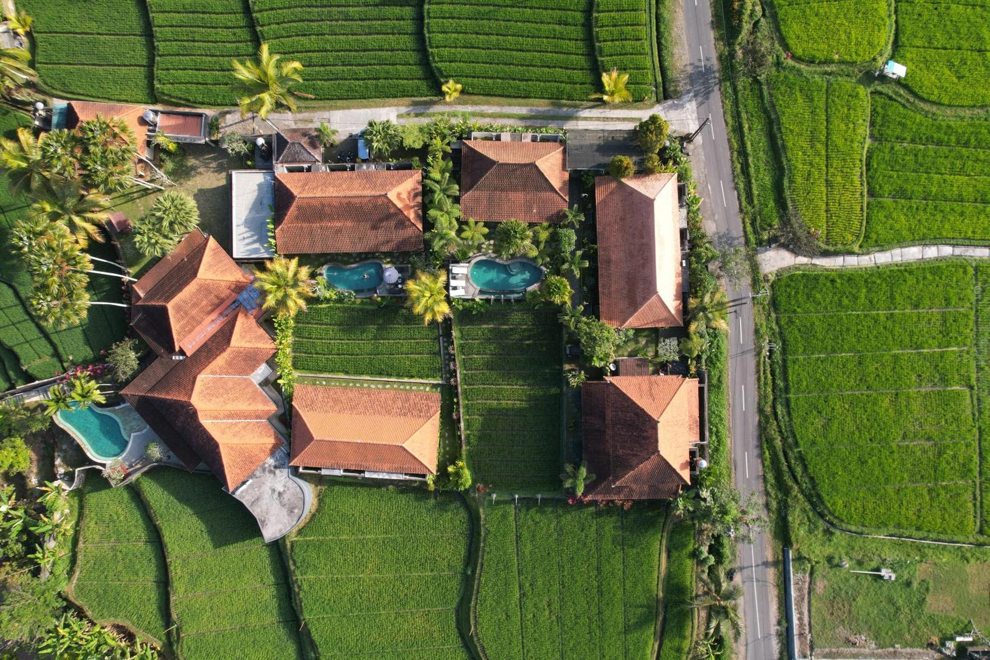 Umakelod Sebatu Villas Ubud  Ngoại thất bức ảnh